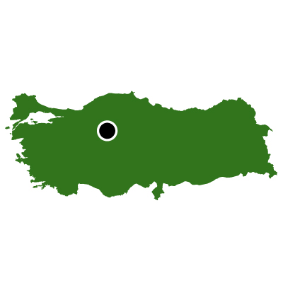 トルコ共和国無料フリーイラスト｜首都(緑)